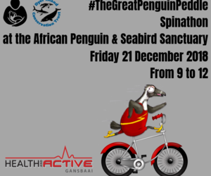 The Great Penguin Peddle Spinathon