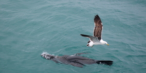 20181218_SF_Trip1_RWatson_IMG131_1545210886