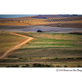 Herman van Bon Photography