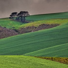 Herman van Bon Photography