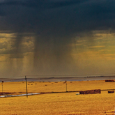 Herman van Bon Photography