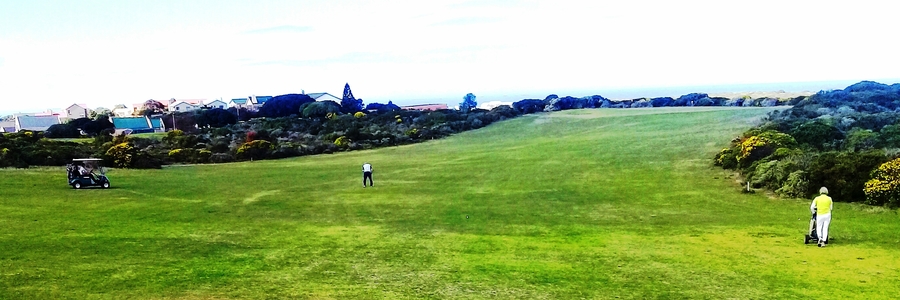 Golf Butterfly day 5 Jan 