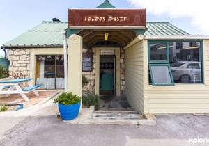 Happy Holidays from Tolbos!