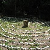 Magical Forest Labyrinth, Platbos