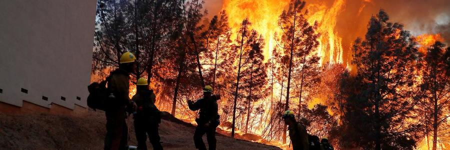 181108212003_08_camp_fire_1108_2018_11_09t015244z_1916224206_rc1b78e04000_rtrmadp_3_california_wildfires_super_tease_1547022663