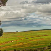 Herman von Bon Photography - Napier