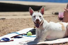 46831426_1916031158516720_6514622268771926016_n_1547038118