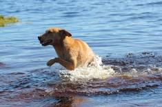 49590961_1974980979288404_2414747952317726720_n_1547038223