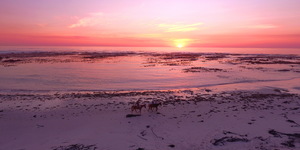 Gansbaai & Pearly Beach Horse Trails