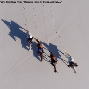 Gansbaai & Pearly Beach Horse Trails