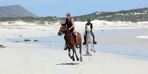Gansbaai & Pearly Beach Horse Trails