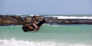 Gansbaai & Pearly Beach Horse Trails