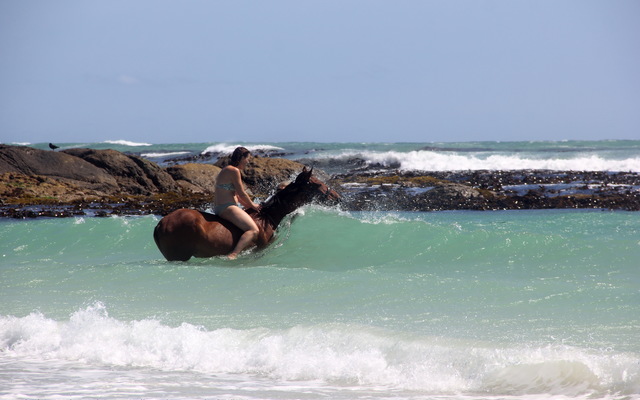Gansbaai & Pearly Beach Horse Trails