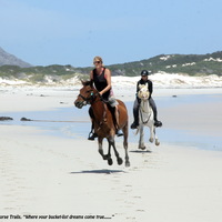 Gansbaai & Pearly Beach Horse Trails