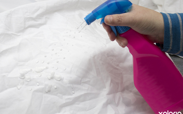 pringle_bay_laundry_services_the_beach_laundry_spraying_pre_wash_1535011939_1547556103