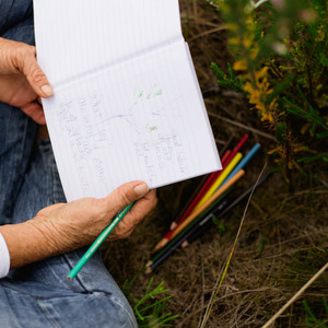 cure_for_fynbos_blindness_notebooks_replaces_cameras_1527501577_1547618185