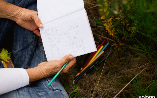 cure_for_fynbos_blindness_notebooks_replaces_cameras_1527501577_1547618185