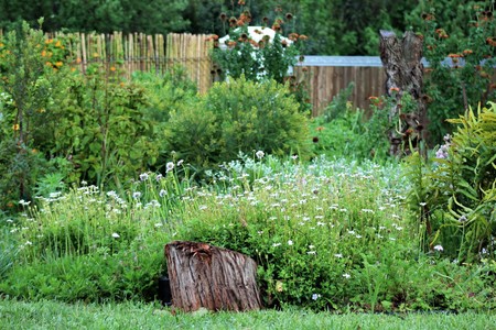 img_0943_orig_1547618810