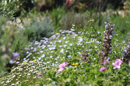 img_1495_orig_1547618809