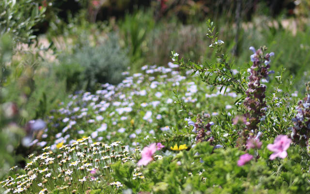 img_1495_orig_1547618809