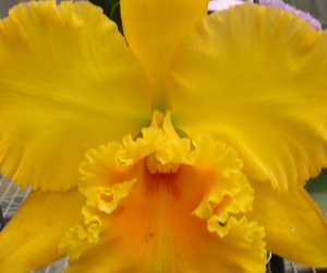 January is new leaf month for us