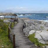 Walks along the beach