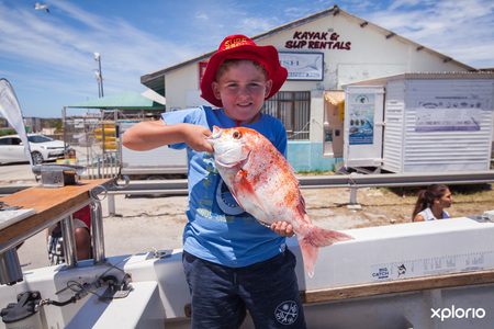struisbaai_awesome_charters_harnour_boy_fish_caught_1548145150