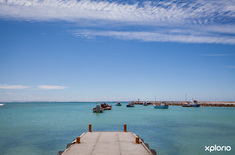 struisbaai_awesome_charters_harbour_jetty_1548145169