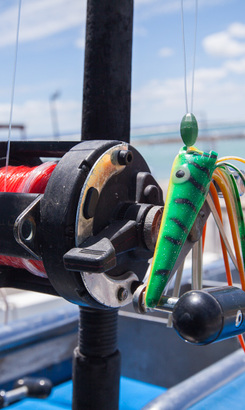 struisbaai_awesome_charters_reel_bate_2__1548145251