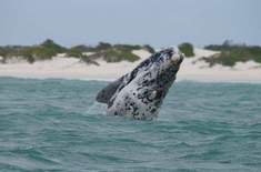 WhatsApp_Image_2019_01_21_at_15.17.30_1548145504