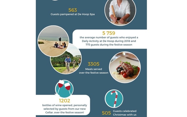 de_hoop_use_1_1548320604