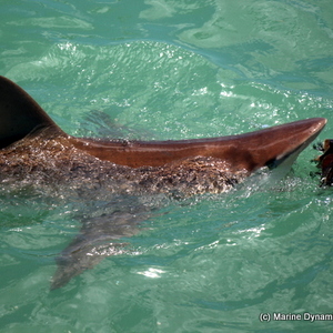 20190127_SF_Trip2_TRogers_IMG19_1548671007