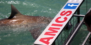 20190127_SF_Trip2_TRogers_IMG24_1548671008