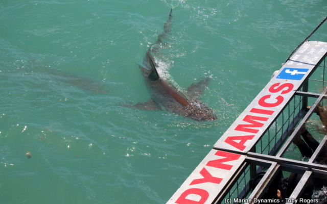 20190127_SF_Trip2_TRogers_IMG40_1548671009