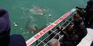 20190127_SF_Trip2_TRogers_IMG55_1548671010