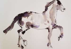 Jenny Jackson's Gallery 19