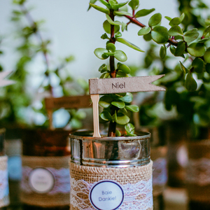 Jeanre du plessis- Gansbaai wedding photographer-de Uijlenes wedding