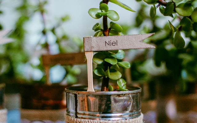 Jeanre du plessis- Gansbaai wedding photographer-de Uijlenes wedding