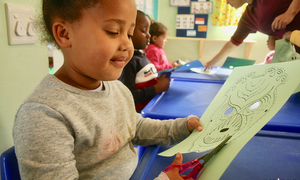 Pikkewyntjies 2019 Funding Challenge