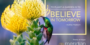 50687351_2893394670678074_3197407902658723840_n_1549348707