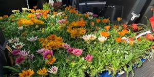 50989349_2893394634011411_1168658758700630016_n_1549348708