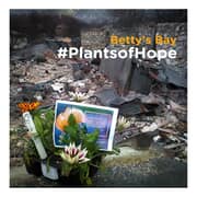Betty's Bay #PlantsofHope