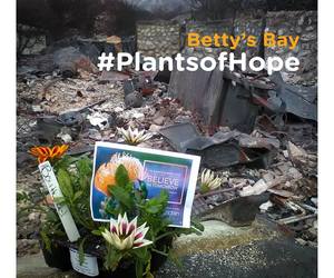 Betty's Bay #PlantsofHope