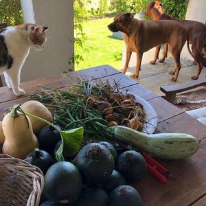 49373611_2240806179287629_458390314629988352_n_1549364617