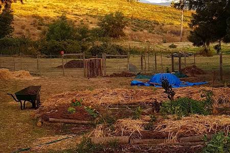 48362382_766986430326127_2133416363090247680_n_1549364980