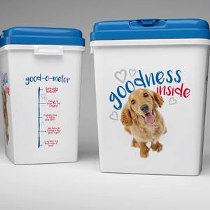 51633389_2015005595285942_5143939548526411776_n_1549368106