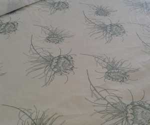 New Protea Design @ Gertie's Legacy