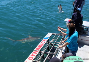 Daily Blog 05 February 2019