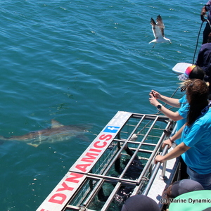 20190205_SF_Trip1_RWatson_IMG032_1549456119