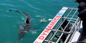 20190205_SF_Trip1_RWatson_IMG069_1549456121